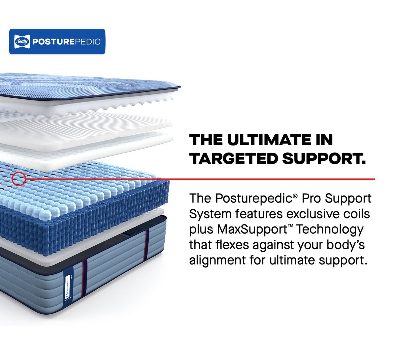 Sealy Posturepedic® Pro Spring Dupont II Firm Mattress by Sealy - describing Posturepedic Pro Support System and Max Support Technology.