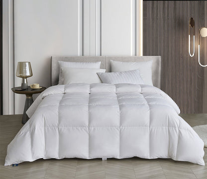 Serta All Season Polyester and Cotton Blend Goose Down Fiber Comforter by Serta
