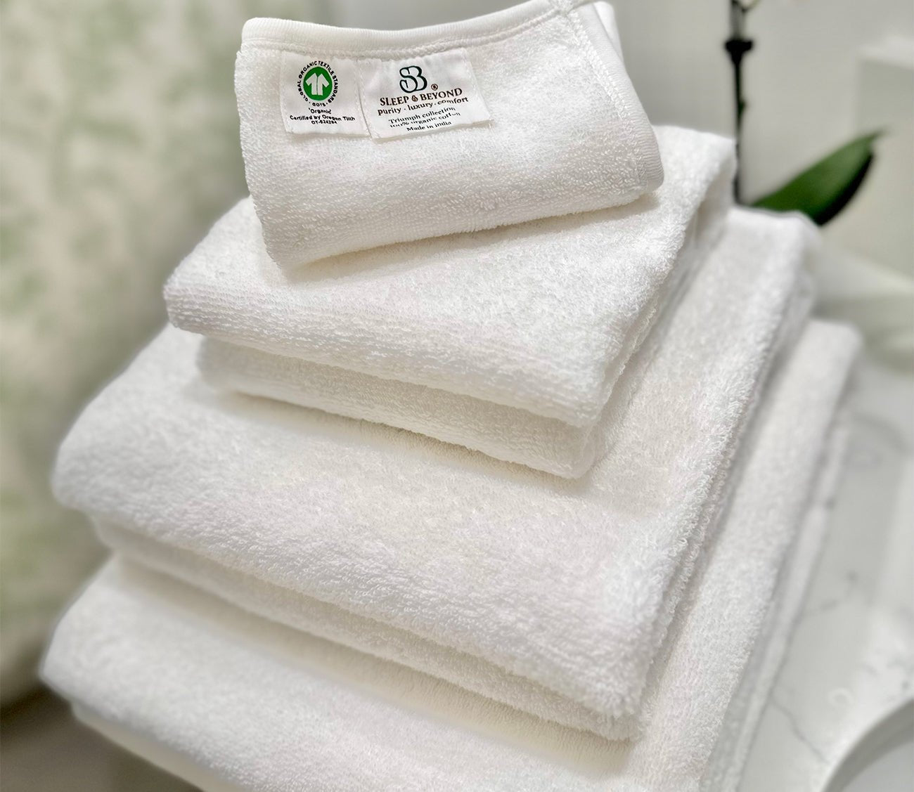 Sleep & Beyond Organic Cotton Terry 4 - Piece Washcloth Set by Sleep & Beyond