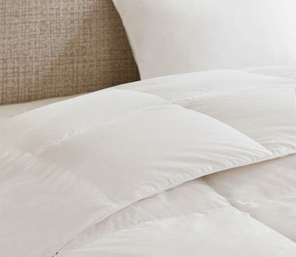 Sleep Philosophy All Season Oversized Cotton Down Comforter by Sleep Philosophy