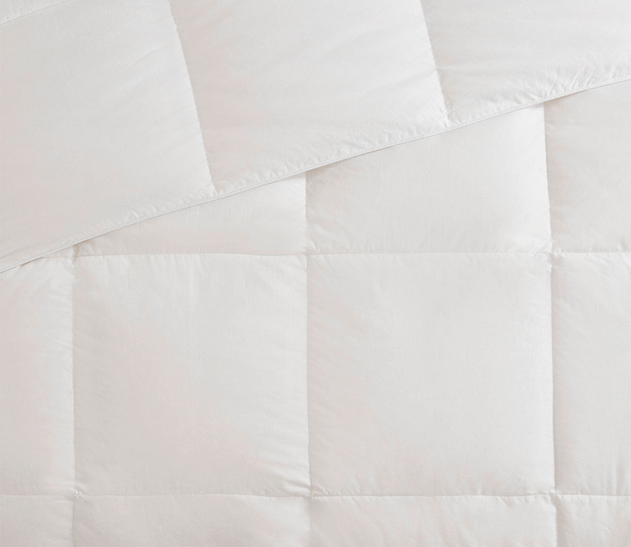 Sleep Philosophy All Season Oversized Cotton Down Comforter by Sleep Philosophy