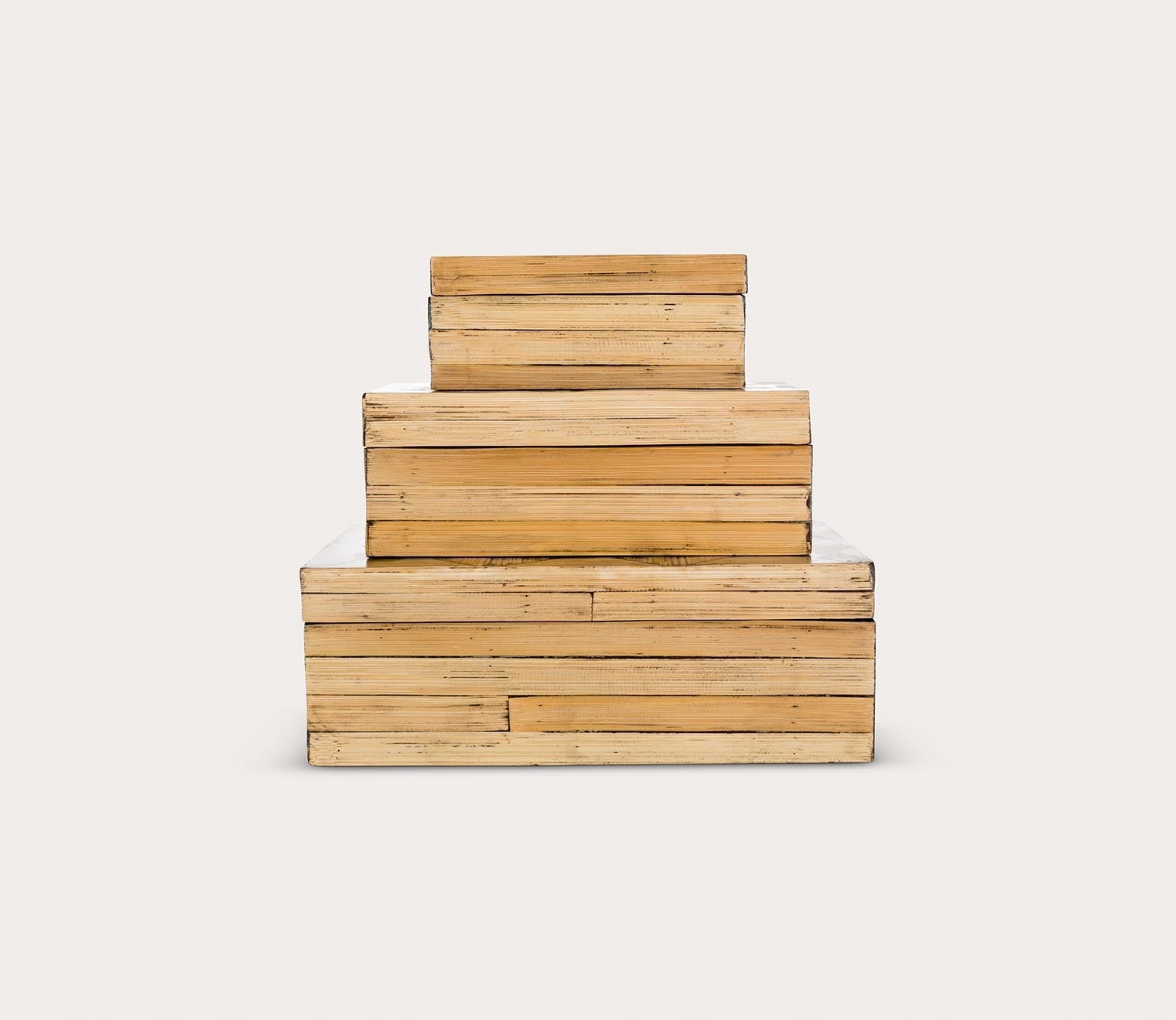 Surya Cane Garden Box Set of 3 by Surya