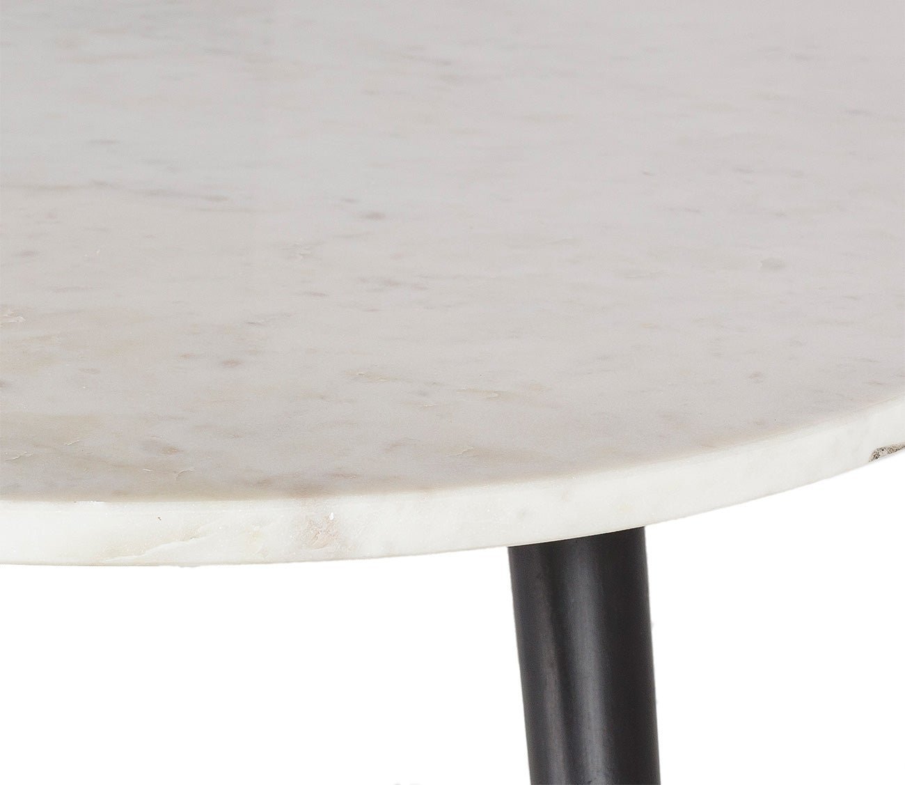 Surya Miami Coffee Table by Surya