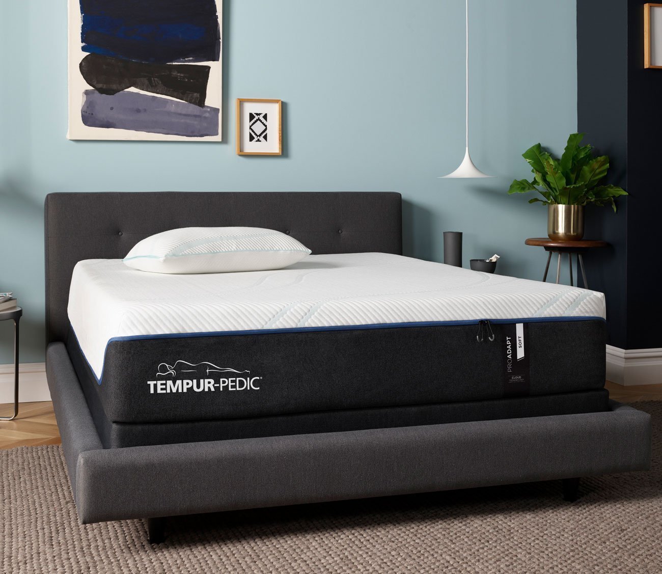 TEMPUR - ProAdapt Soft Mattress - FLOOR SAMPLE by Tempur - Pedic