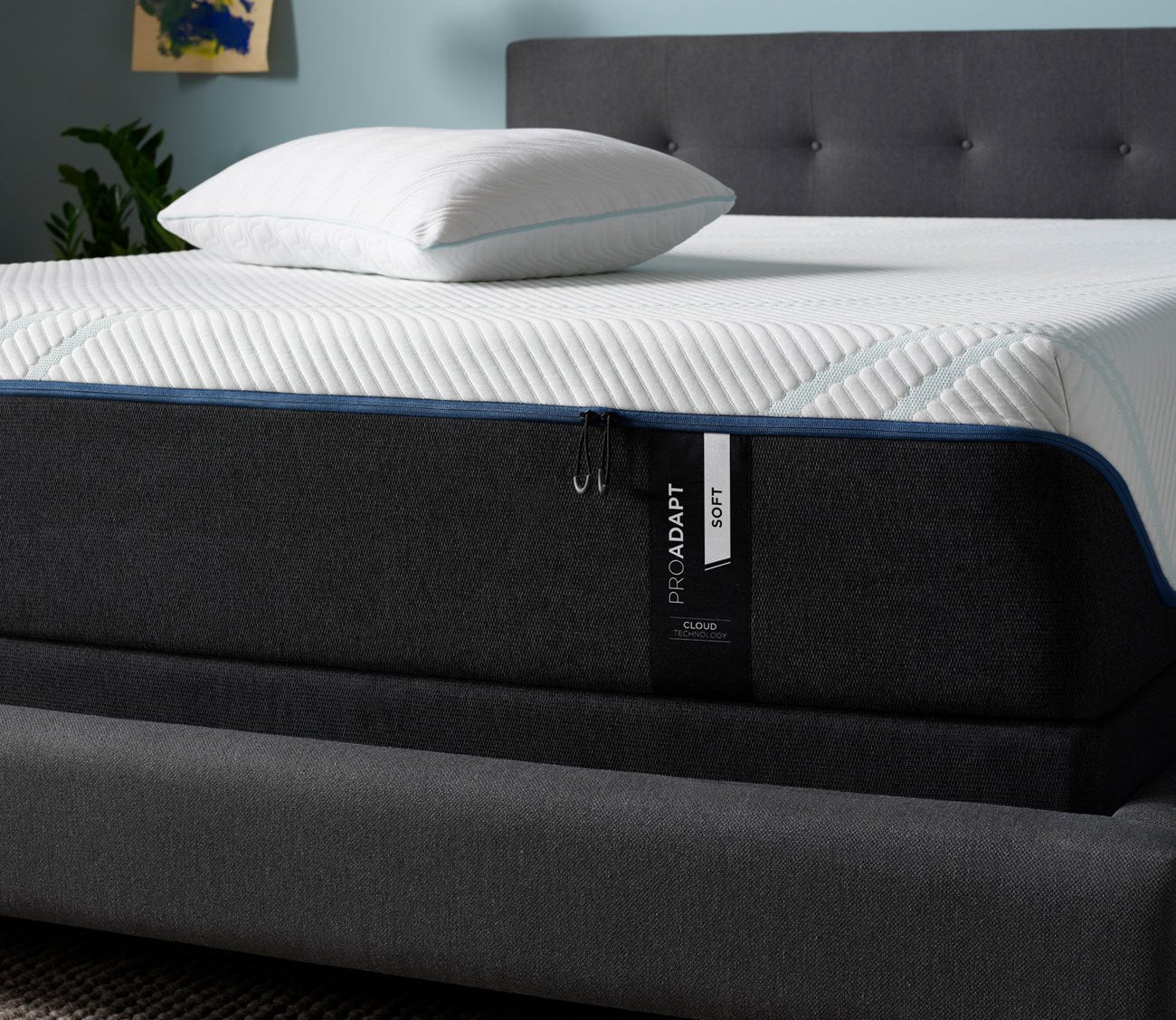 TEMPUR - ProAdapt Soft Mattress - FLOOR SAMPLE by Tempur - Pedic