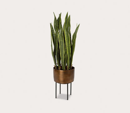 Uttermost Fasita Brass Planter by Uttermost