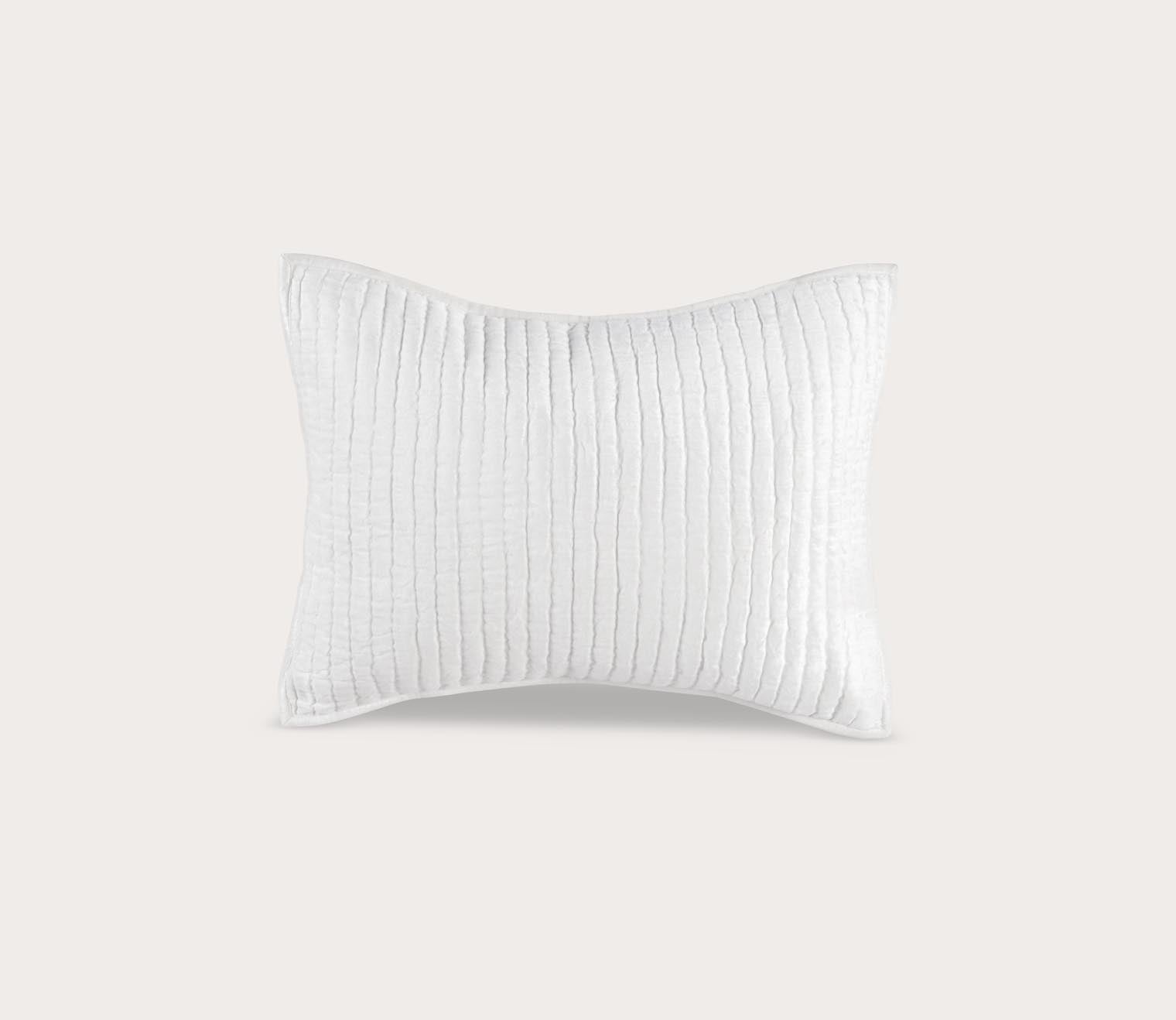 Villa by Classic Home Bari Velvet Pillow Sham by Villa by Classic Home