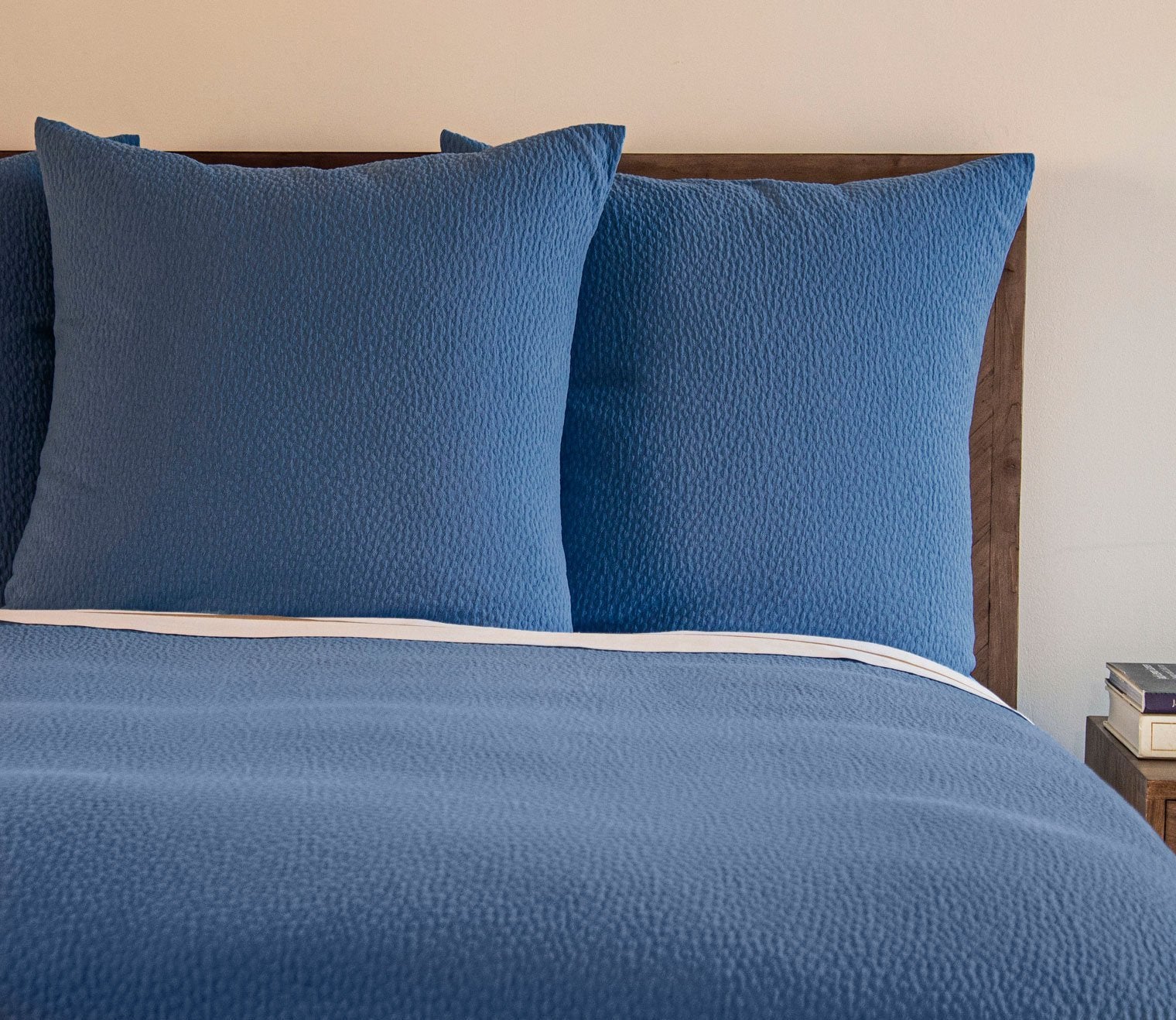 Cotton Matelassé Pebble Pattern Coverlet and Euro Sham Set
