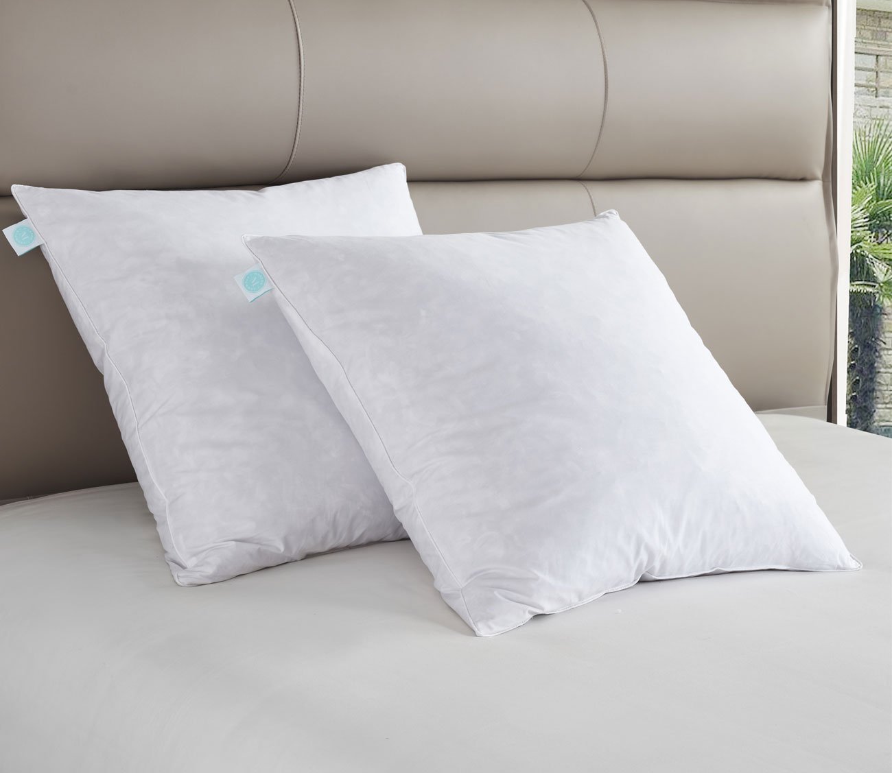 233TC Cotton Firm Feather Euro Pillow 2-Pack