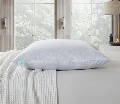 233TC Cotton Firm Feather Euro Pillow 2-Pack by Martha Stewart