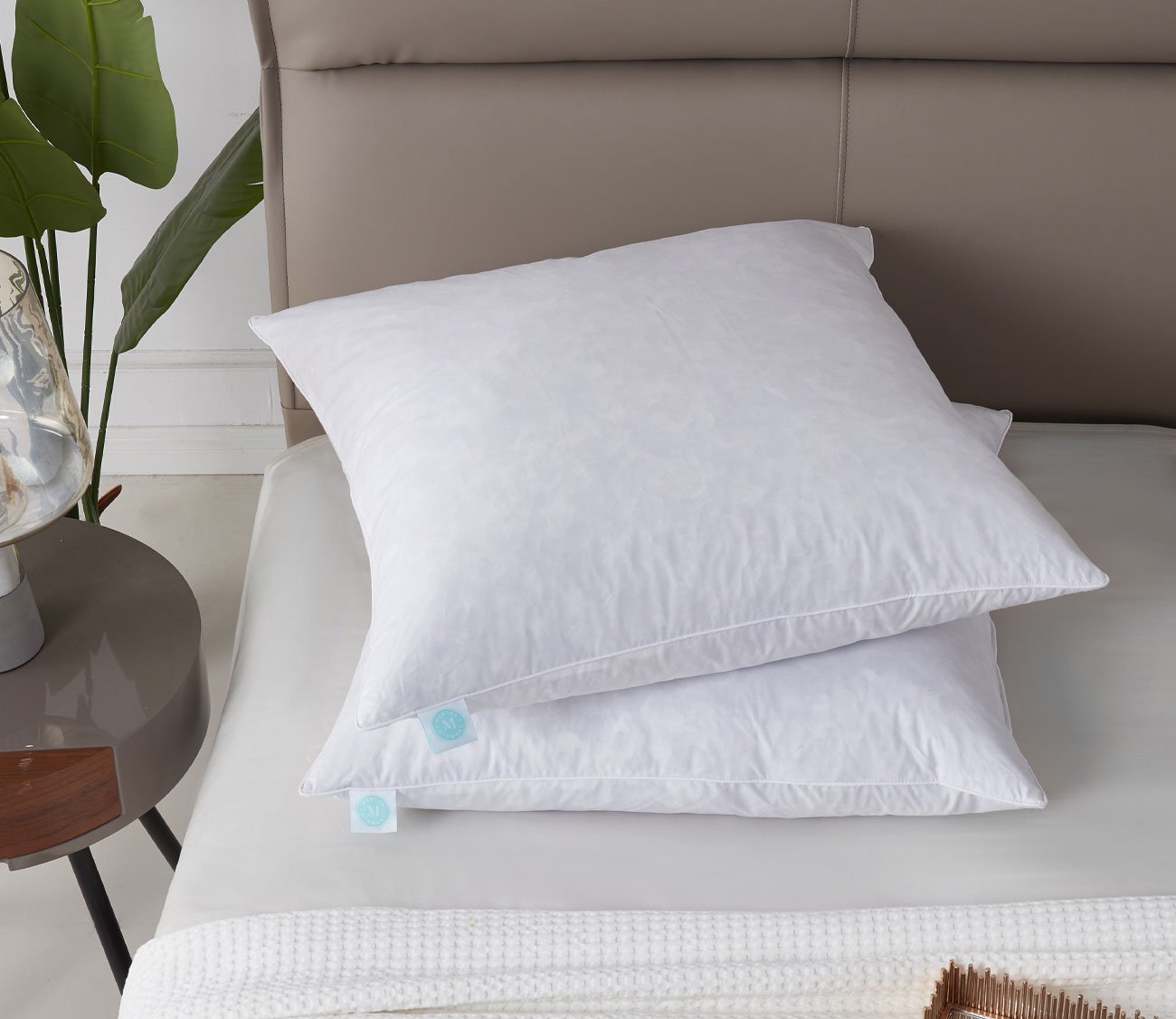 233TC Cotton Medium Firm Decorative Square Feather Pillow 2-Pack