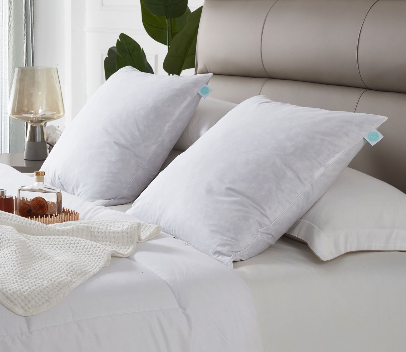 233TC Cotton Medium Firm Decorative Square Feather Pillow 2-Pack by Martha Stewart