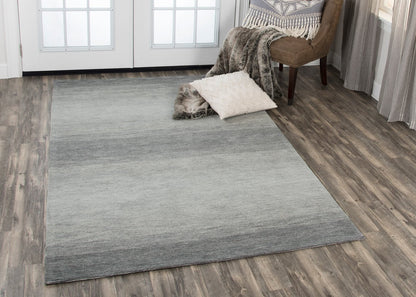 Alora Décor Ascension Ombre Charcoal Area Rug by Rizzy Home