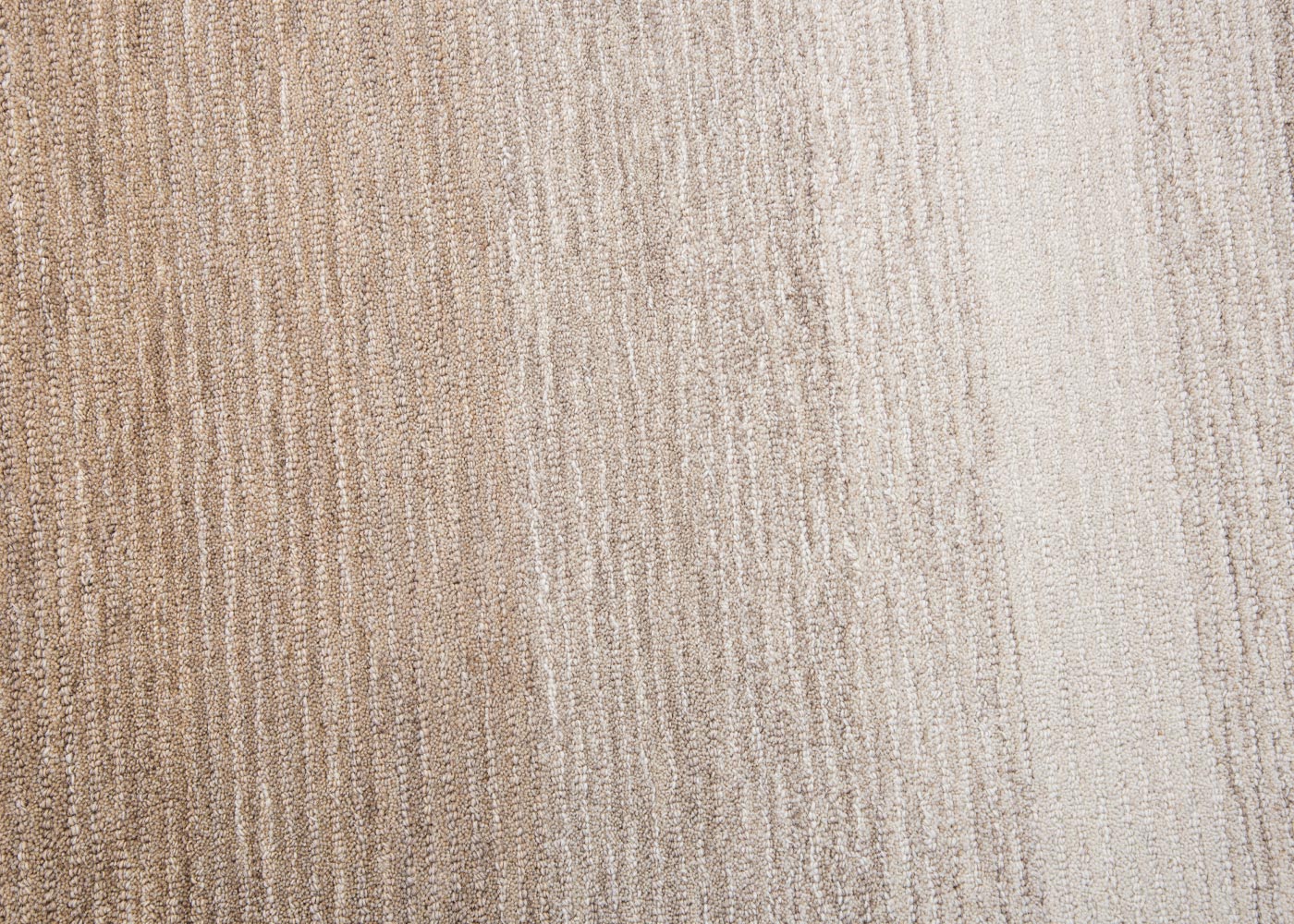 Alora Décor Ascension Ombre Beige Area Rug by Rizzy Home