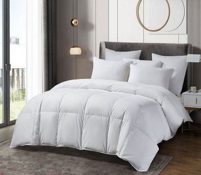 300TC Cotton Sateen All Season European Down Comforter by Beautyrest