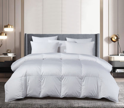 400TC Cotton Sateen All Season European Goose Down Comforter by Beautyrest