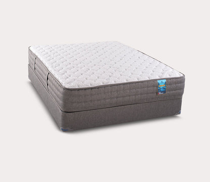 Pinnacles Extra Firm Mattress by City Mattress