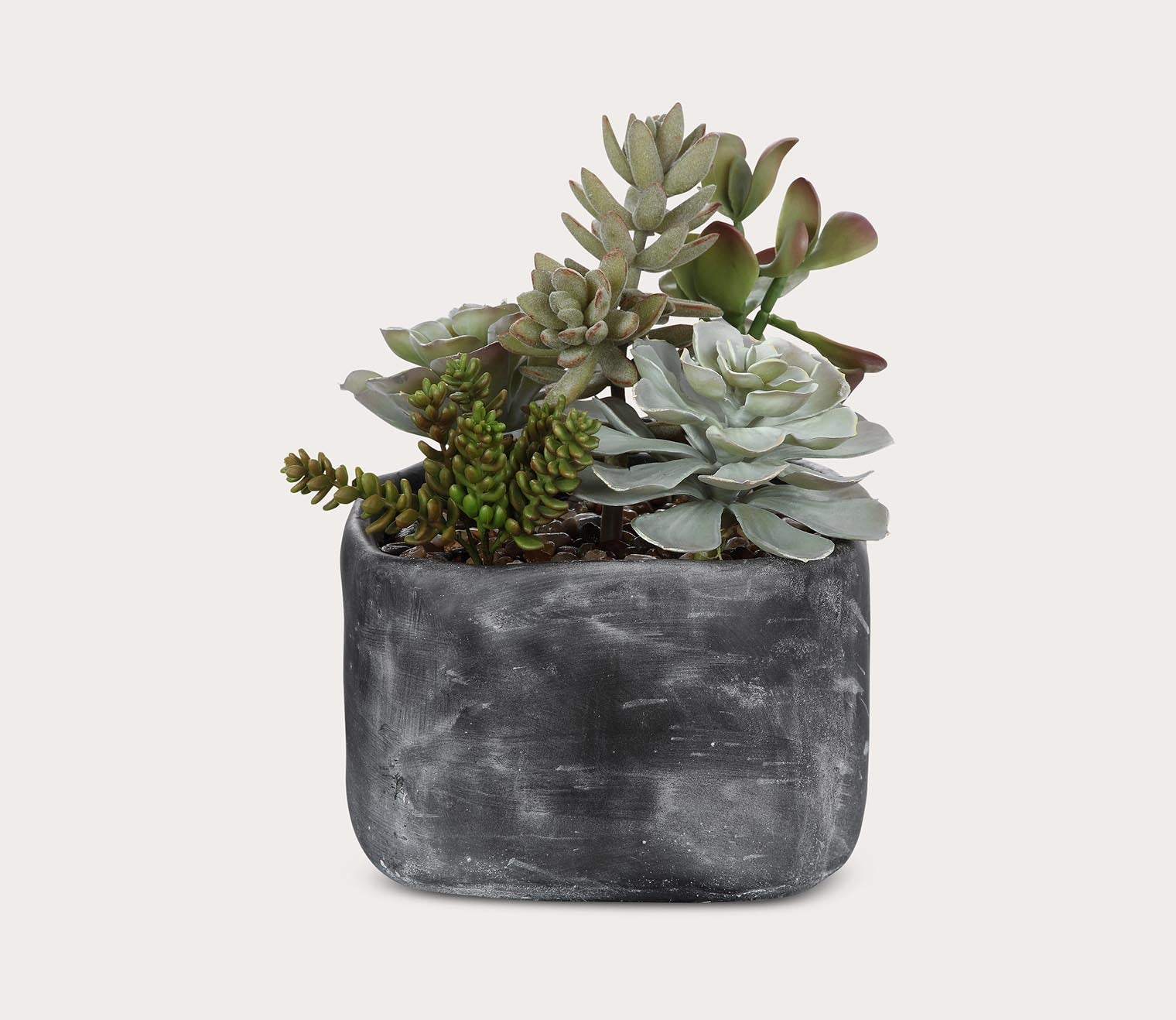 Alverio Desert Garden Succulents by Uttermost