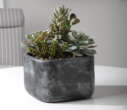 Alverio Desert Garden Succulents by Uttermost