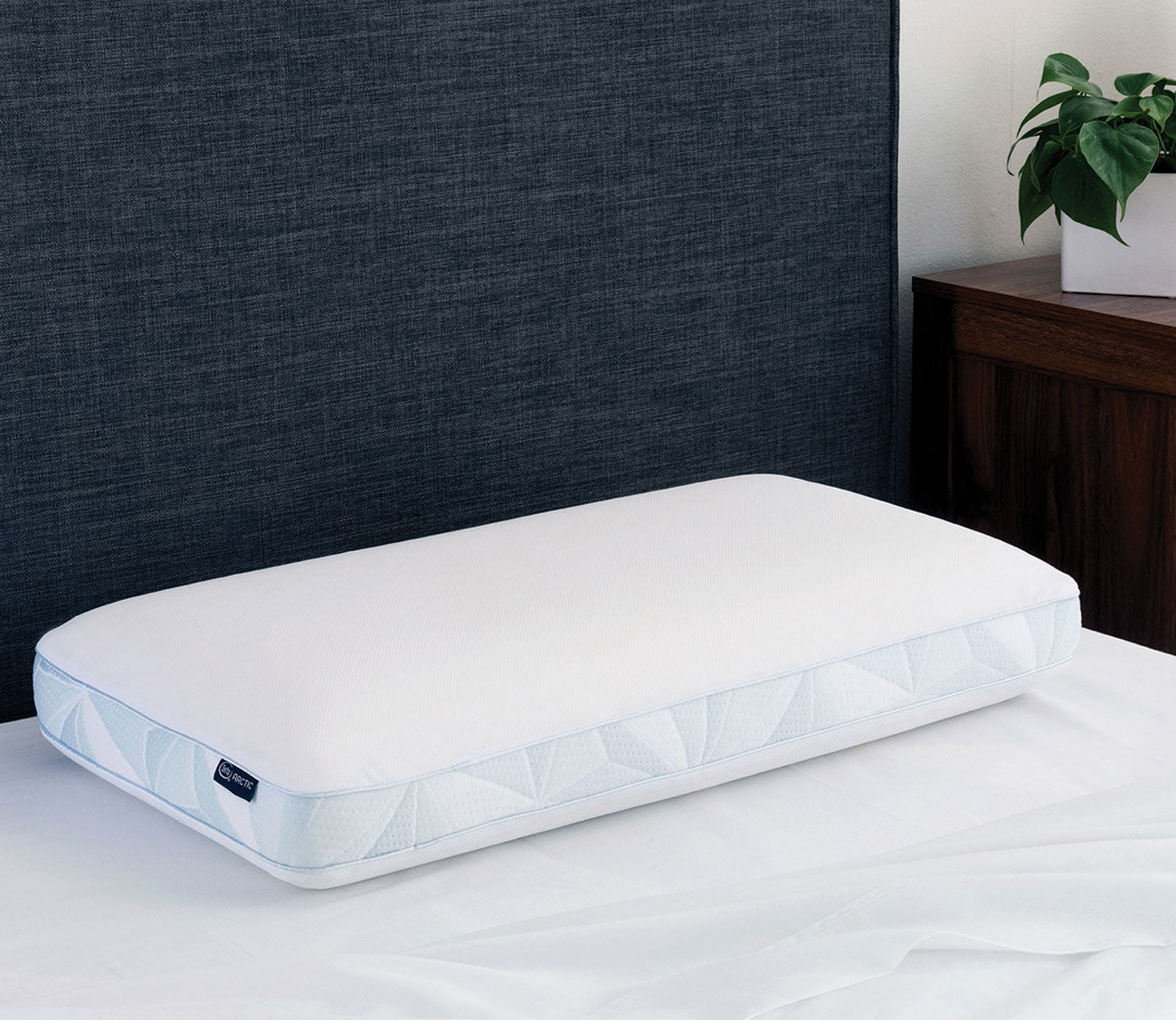 Arctic Cooling Memory Foam Pillow