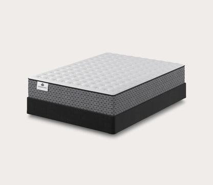 Beauty Firm Mattress by Kingsdown