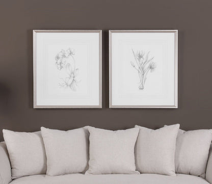 Botanical Sketches Set of 2 by Uttermost