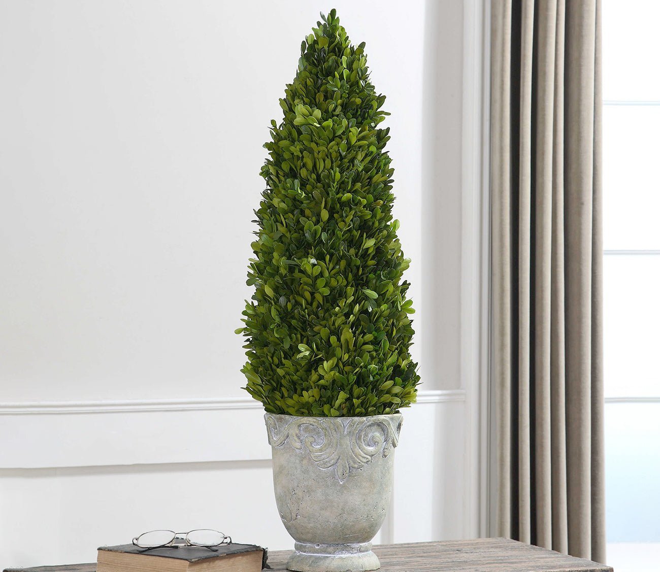 Boxwood Cone Topiary