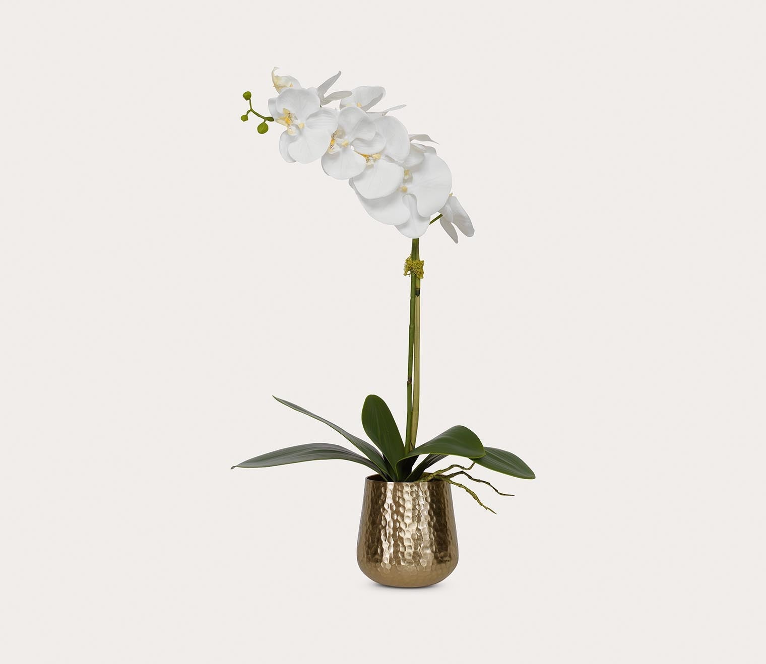 Cami Orchid With Brass Pot by Uttermost