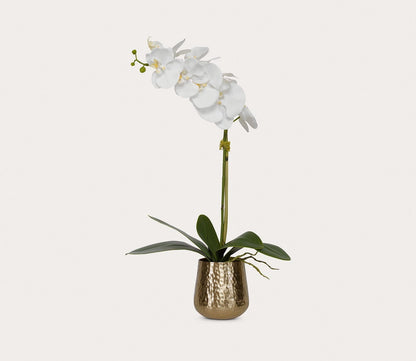 Cami Orchid With Brass Pot by Uttermost