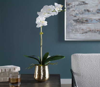 Cami Orchid With Brass Pot by Uttermost
