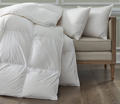 Cardigan Goose Down Duvet by Sferra