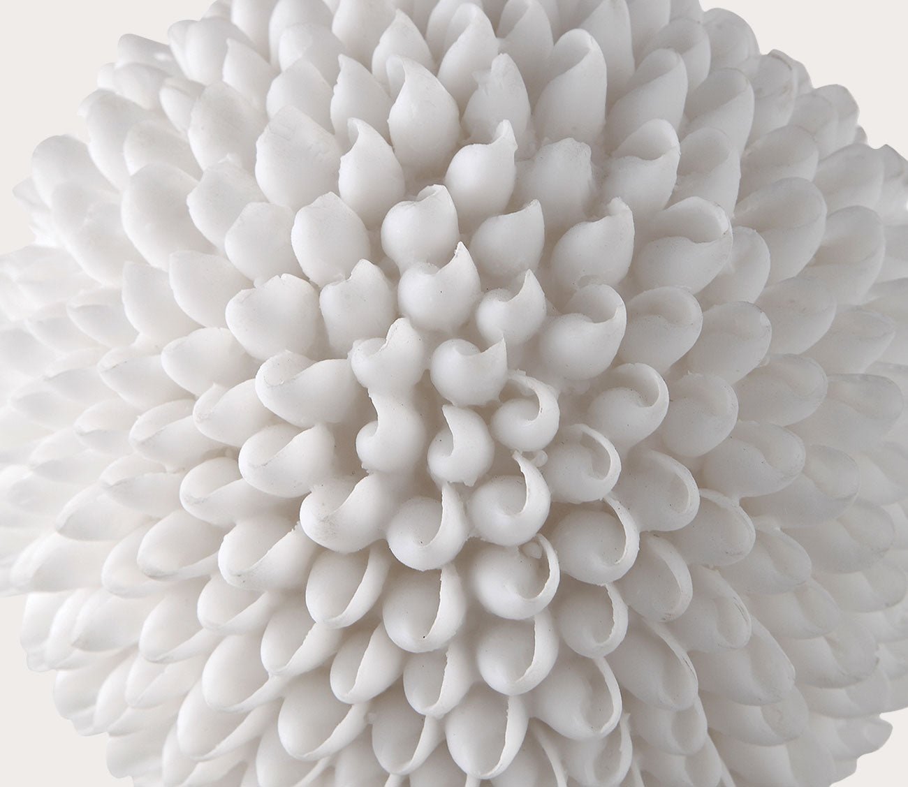 Cascara White Sculpture by Uttermost