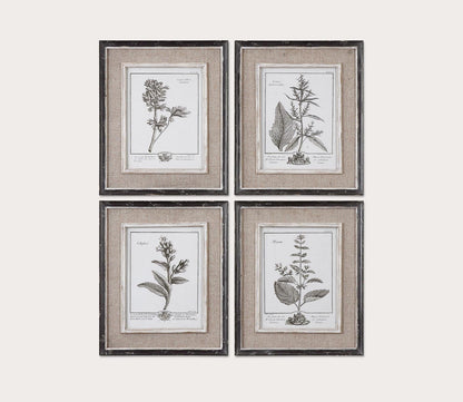 Casual Grey Study Framed Art Set of 4 by Uttermost