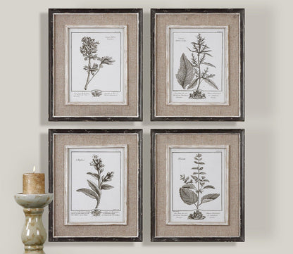 Casual Grey Study Framed Art Set of 4 by Uttermost