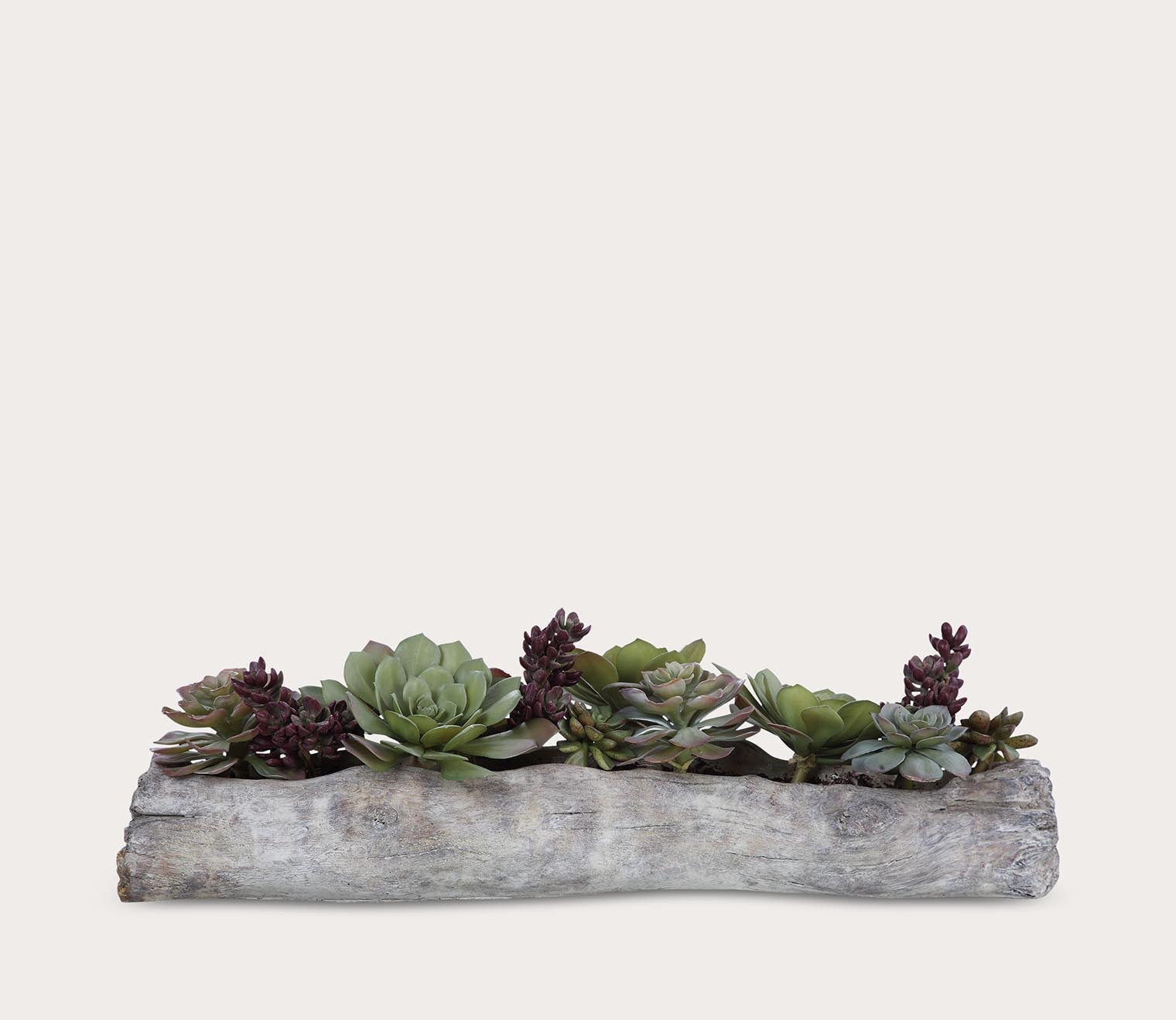 Charita Lush Succulents by Uttermost