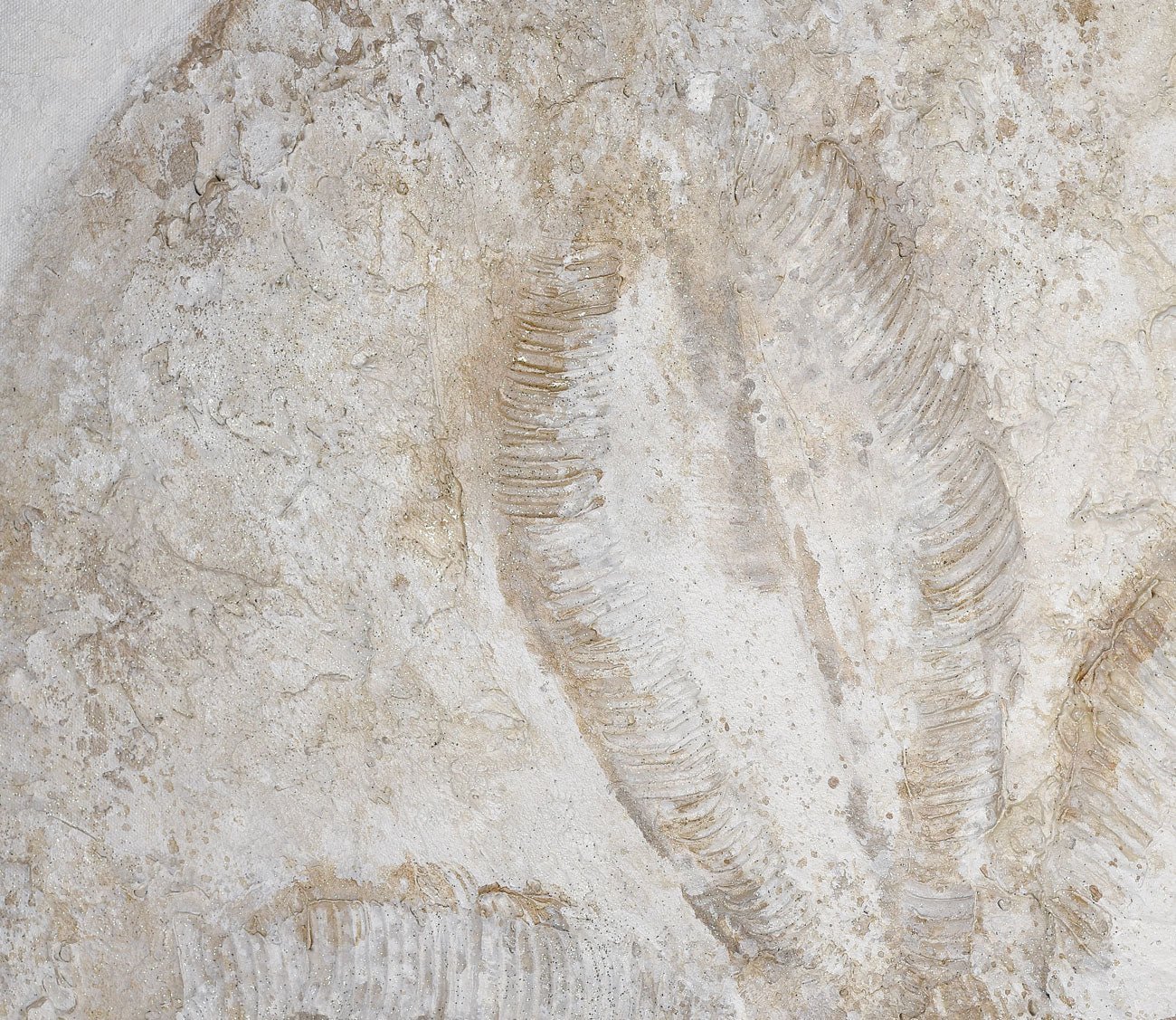 Coastal I Wall Art by Elk Home