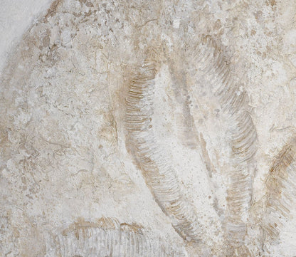 Coastal I Wall Art by Elk Home