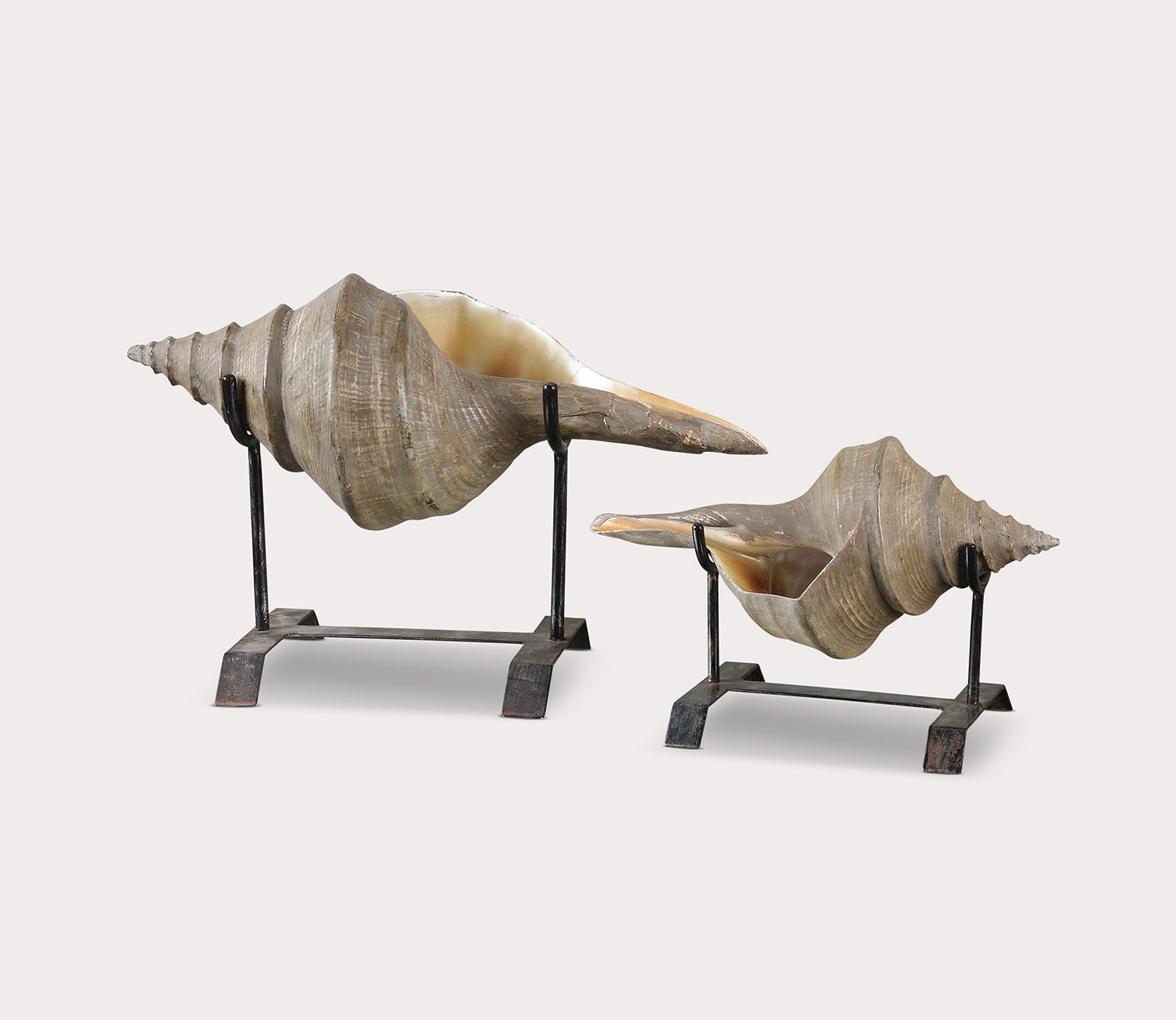 Conch Shell Sculpture