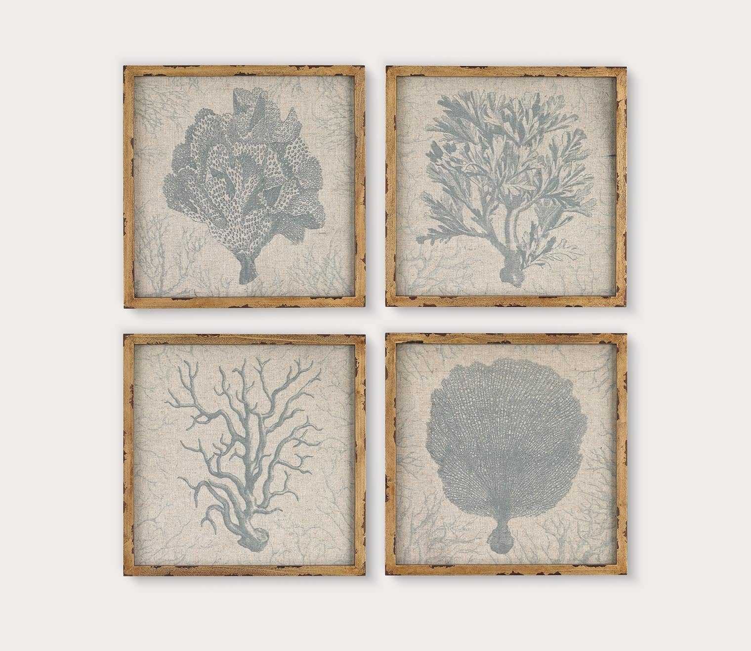 Coral Prints Set of 4