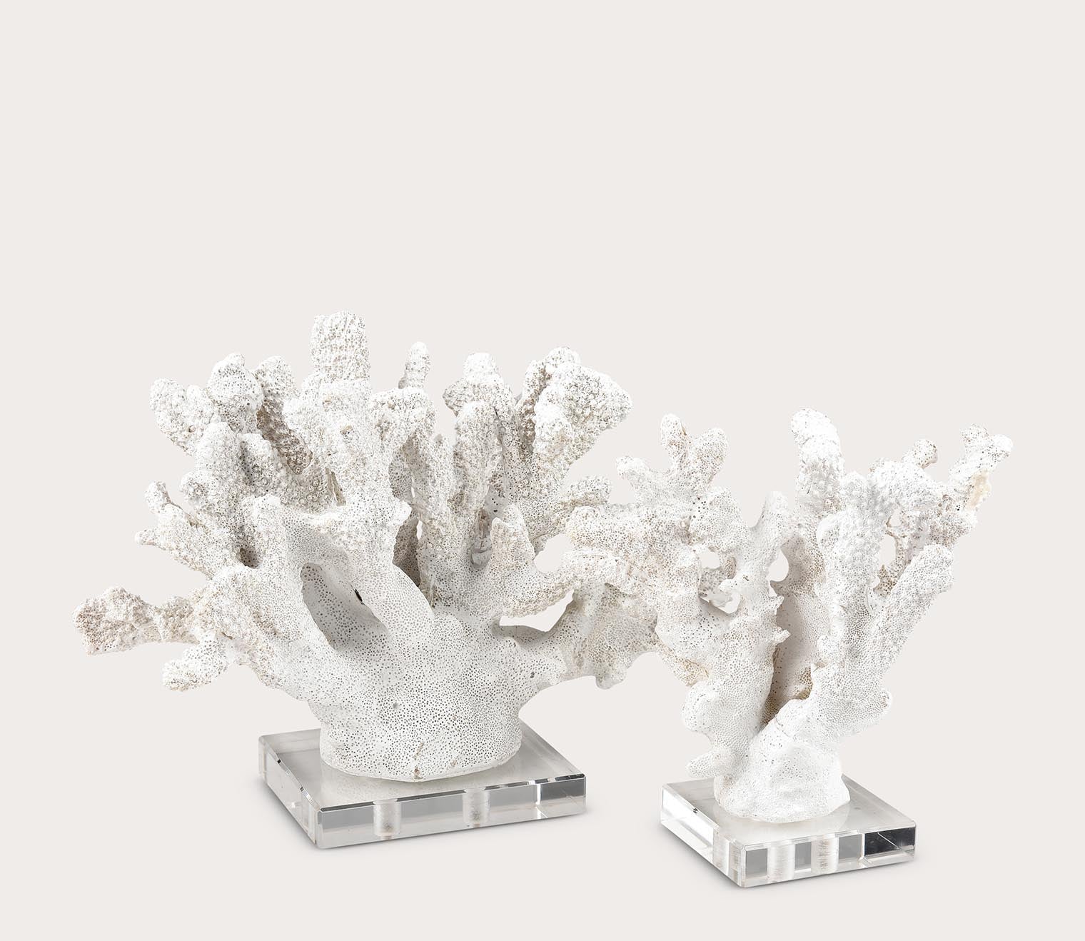 Coral Sculptures Set of 2