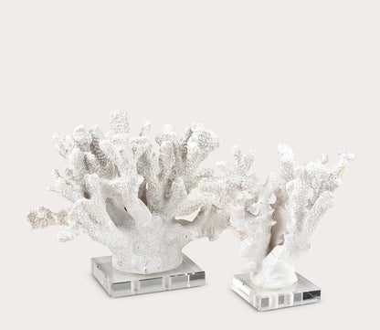 Coral Sculptures Set of 2 by Elk Home