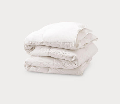 Cotton Twill Down Comforter by Allied Home