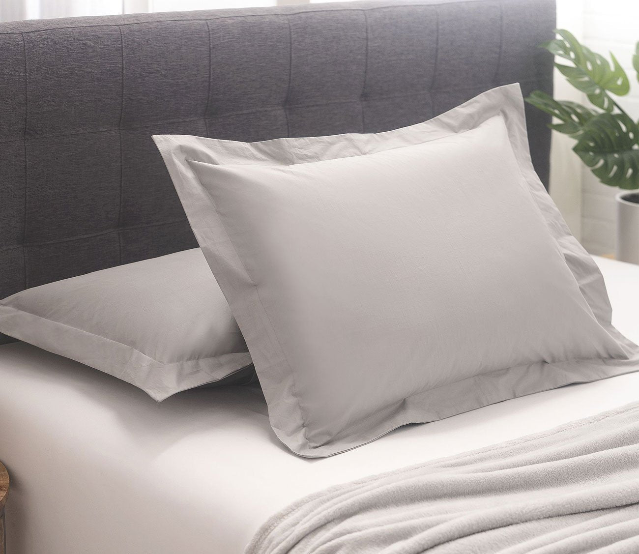 Cotton Twill Pillow Sham Set of 2