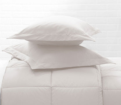 Cotton Twill Pillow Sham Set of 2 by Allied Home