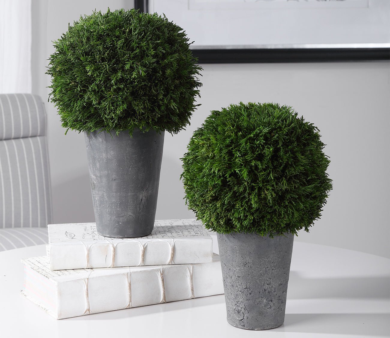 Cypress Globes Set of 2