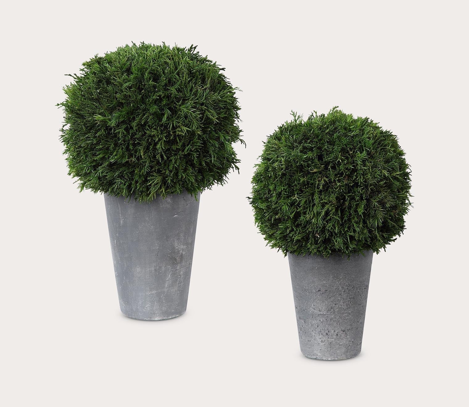 Cypress Globes Set of 2 by Uttermost