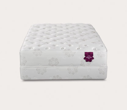 Dharma Select Plush Mattress by PranaSleep