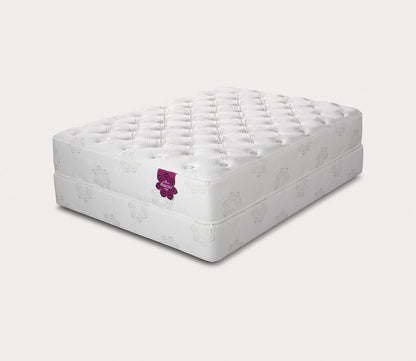 Dharma Select Plush Mattress by PranaSleep