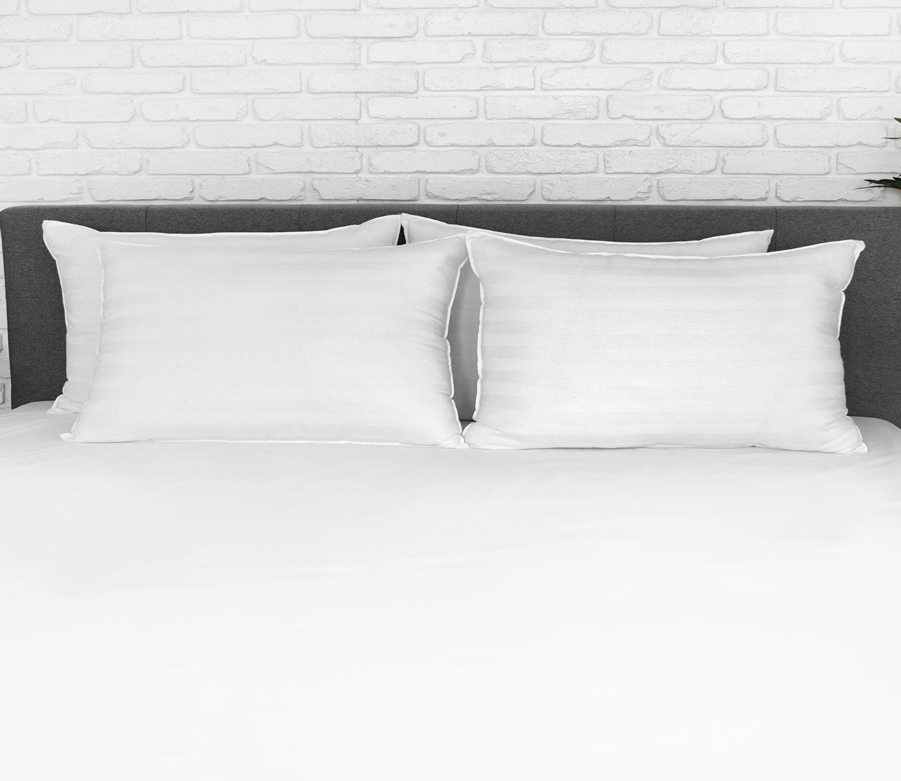 Eco Classic Cotton Cover Standard Fiber Pillow Set of 4 by Soft-Tex