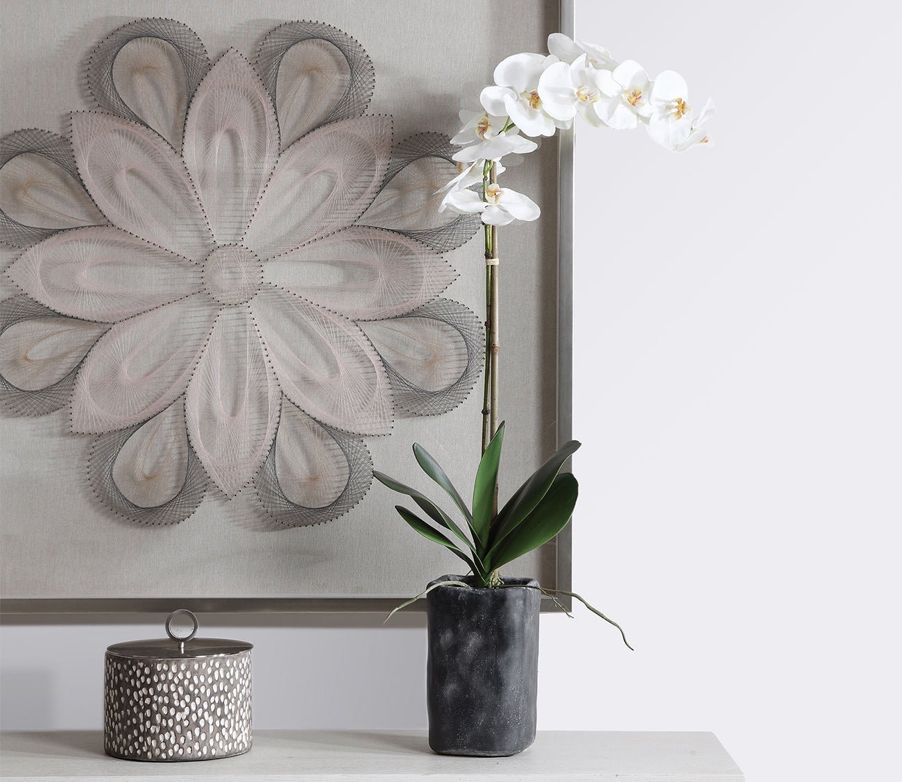 Eponine White Orchid